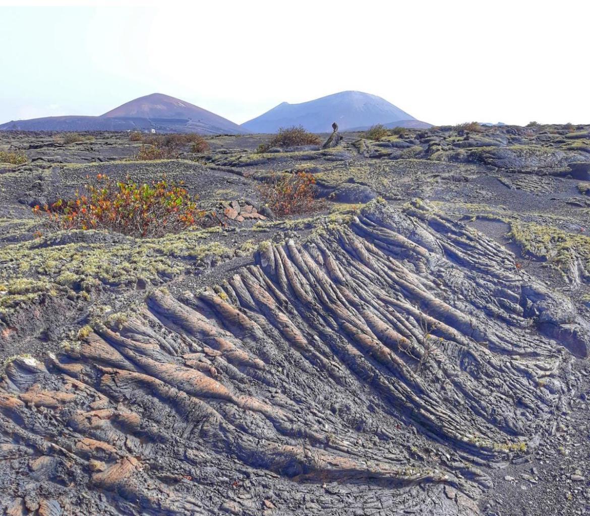 Lanzarote Casa Volcanica-Anclada Sobre La Lava Del Volcan Montana Blanca Zewnętrze zdjęcie