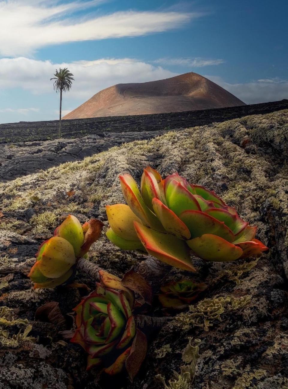 Lanzarote Casa Volcanica-Anclada Sobre La Lava Del Volcan Montana Blanca Zewnętrze zdjęcie